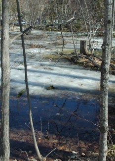 pond